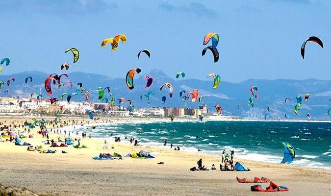 فيلا Waveshouseطريفة المظهر الخارجي الصورة